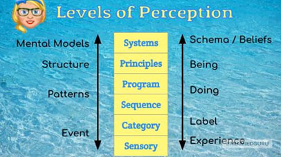 A New View Of Behavior